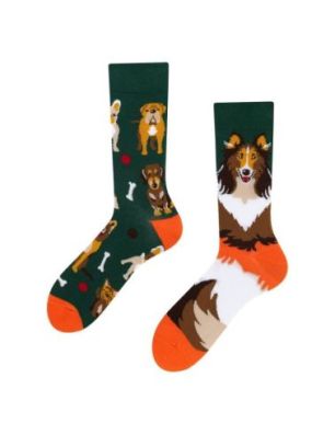 Dogs, Todo Socks, Pieski, Kości, Kolorowe Skarpetki