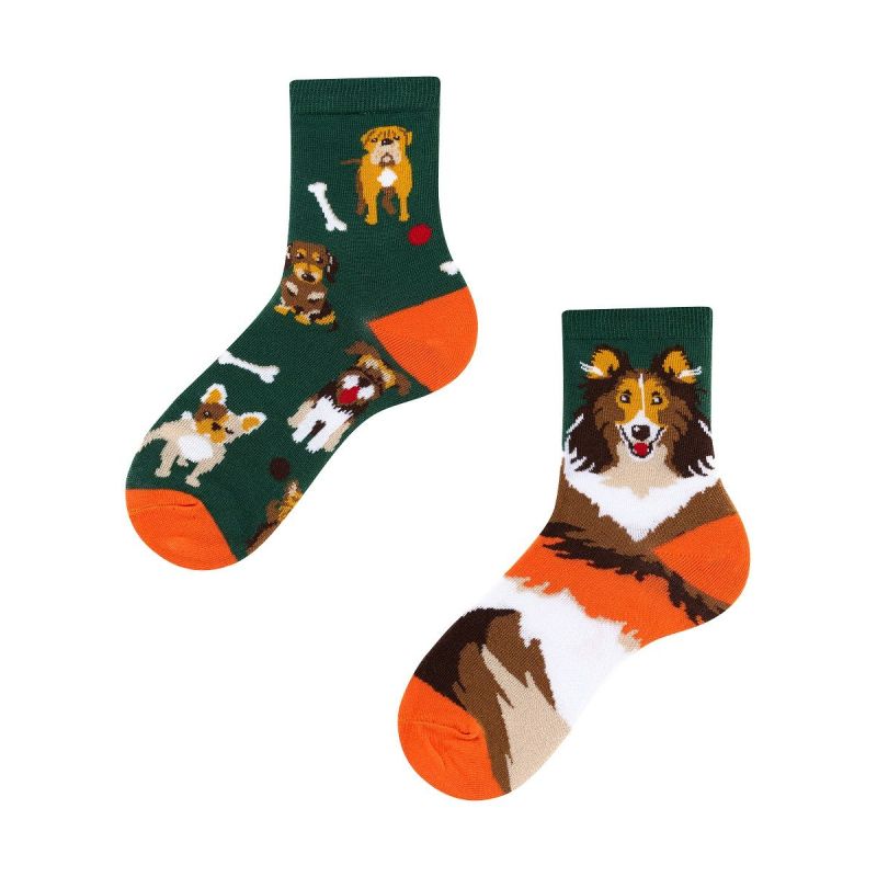 Dogs Kids, Todo Socks, Pieski, Kości, Kolorowe Dziecięce