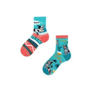 Cats Kids, Todo Socks, Kotki, Kaktus, Kolorowe Dziecięce