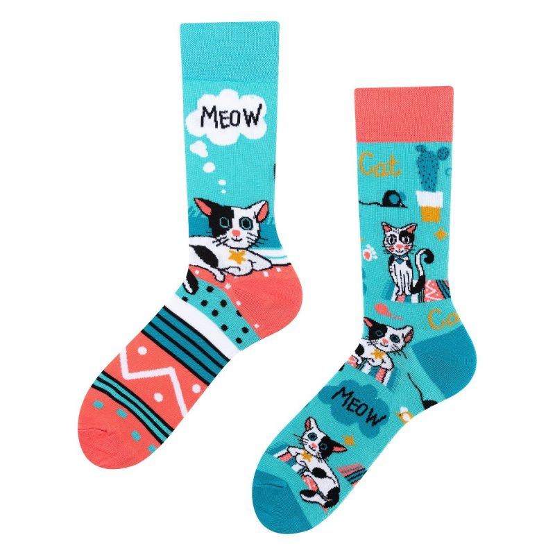 Cats, Todo Socks, Kotki, Kaktus, Kolorowe Skarpetki