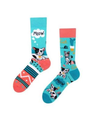 Cats, Todo Socks, Kotki, Kaktus, Kolorowe Skarpetki