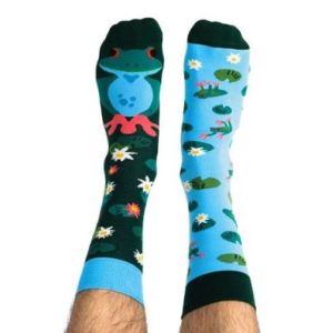 Skarpety kolorowe z serii Happy Friends Socks żaba Frogilla