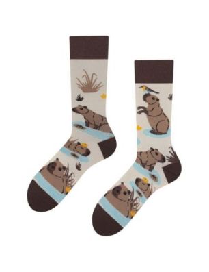 Capybara, Todo Socks, Kapibara z pomarańczą, Kolorowe Skarpetki