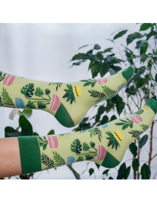 Plants, Todo Socks, Rośliny doniczkowe, Monstera, Kaktus, Kwiaty domowe, Kolorowe Skarpetki