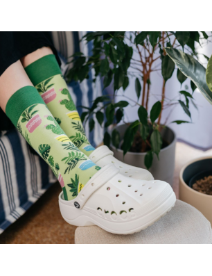 Plants, Todo Socks, Rośliny doniczkowe, Monstera, Kaktus, Kwiaty domowe, Kolorowe Skarpetki