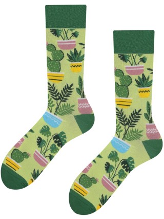 Plants, Todo Socks, Rośliny doniczkowe, Monstera, Kaktus, Kwiaty domowe, Kolorowe Skarpetki - Plants