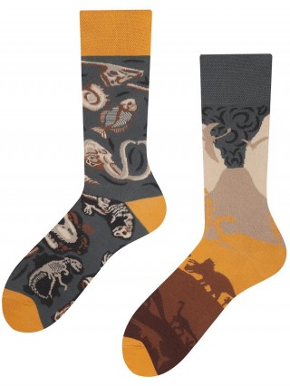 Prehistoria Todo Socks, Wykopaliska, Dinozaury, Kolorowe Skarpetki - Prehistoria