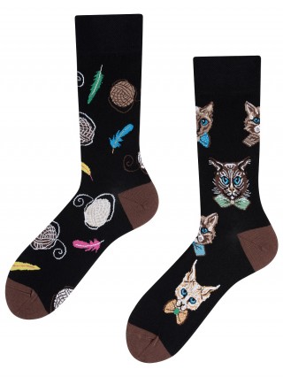 Kot w muszce, Todo Socks, Koty, Kociaki, Kolorowe Skarpetki  - Kot w Muszce