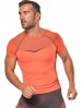 T-shirt męski Breeze M13 (dekolt okrągły) termoaktywny, 3 kolory - Giorgio-Arancio
