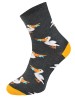 Kolorowe skarpetki Cotton Socks 163, wesołe motywy- Pelikan - grafitowy