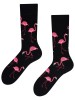 Flamingo Lover, Todo Socks, Flamingi, Ptaki, Kolorowe Skarpetki - czarny