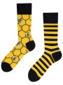 Bee Bee, Todo Socks, Pszczoły, Miód, Ul, Kolorowe Skarpetki - Bee Bee